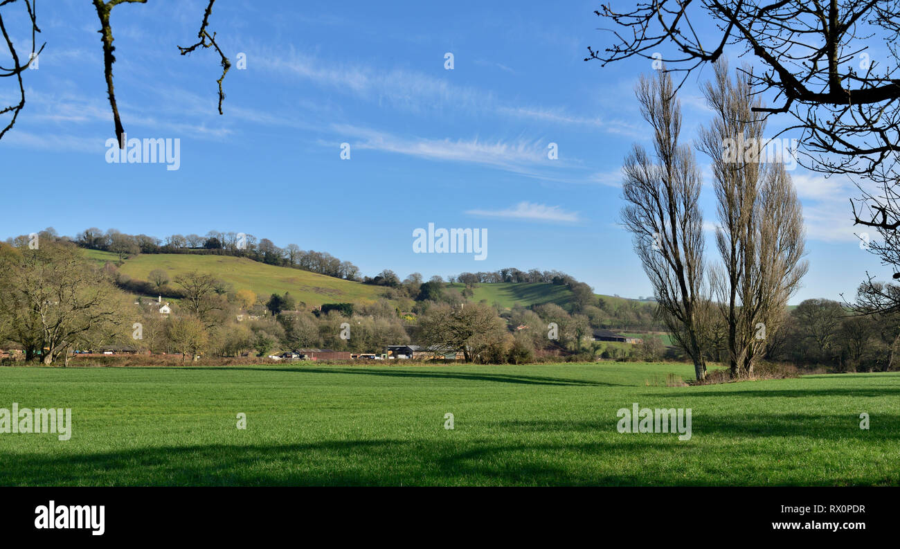 Devon countryside view with rolling green hills, trees and houses in ...