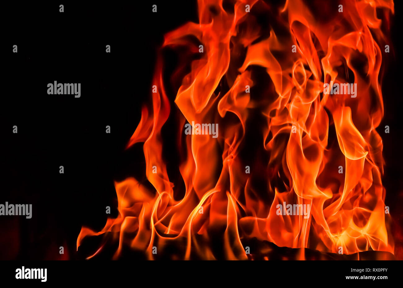 Flames of fire on a black background. The mystery of fire. Stock Photo