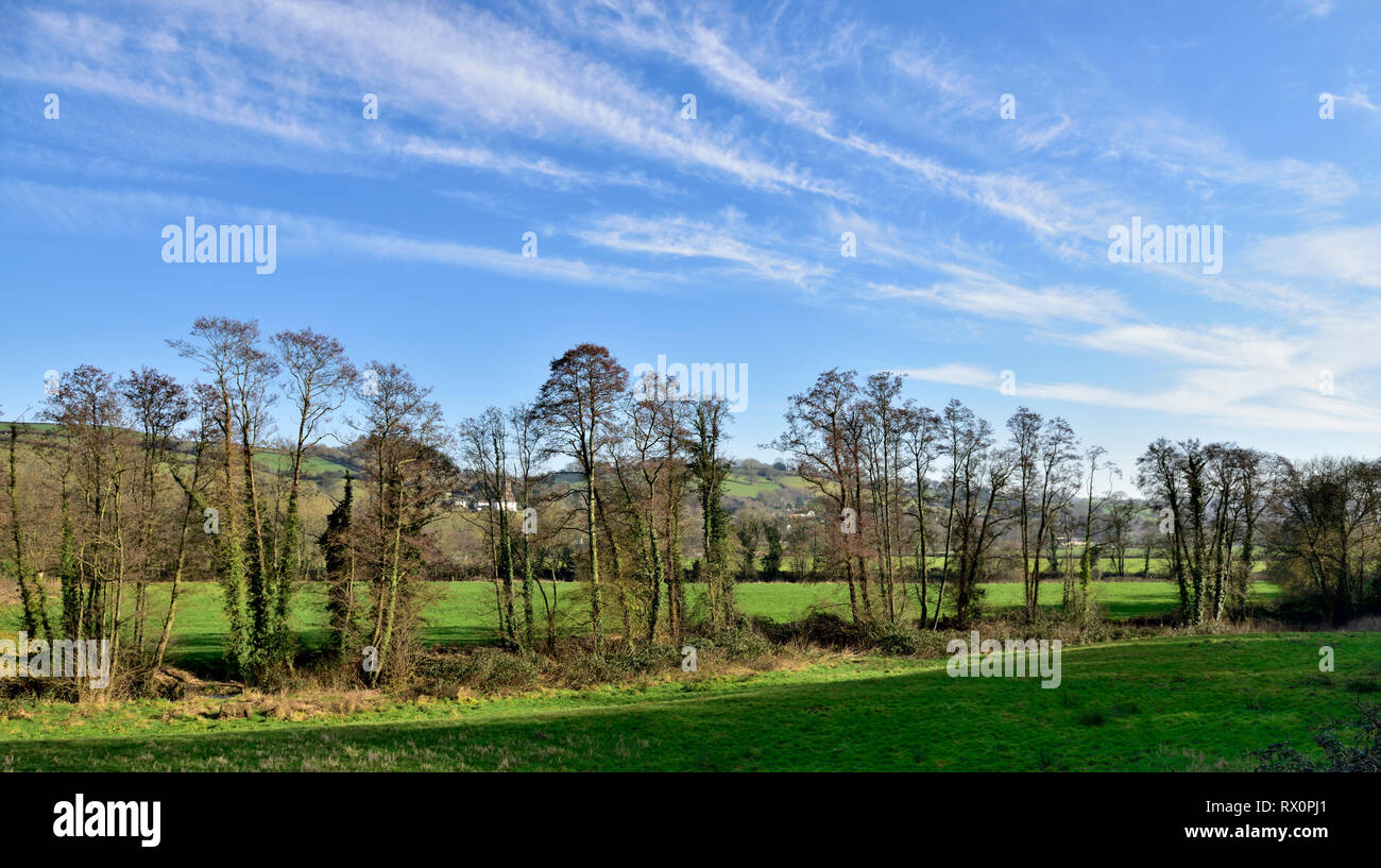 Devon countryside view with rolling green hills and trees, winter, near ...