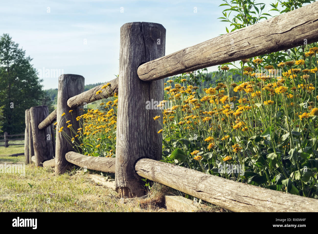 Wooden rustic fence and flowerbed in the village. Stock Photo
