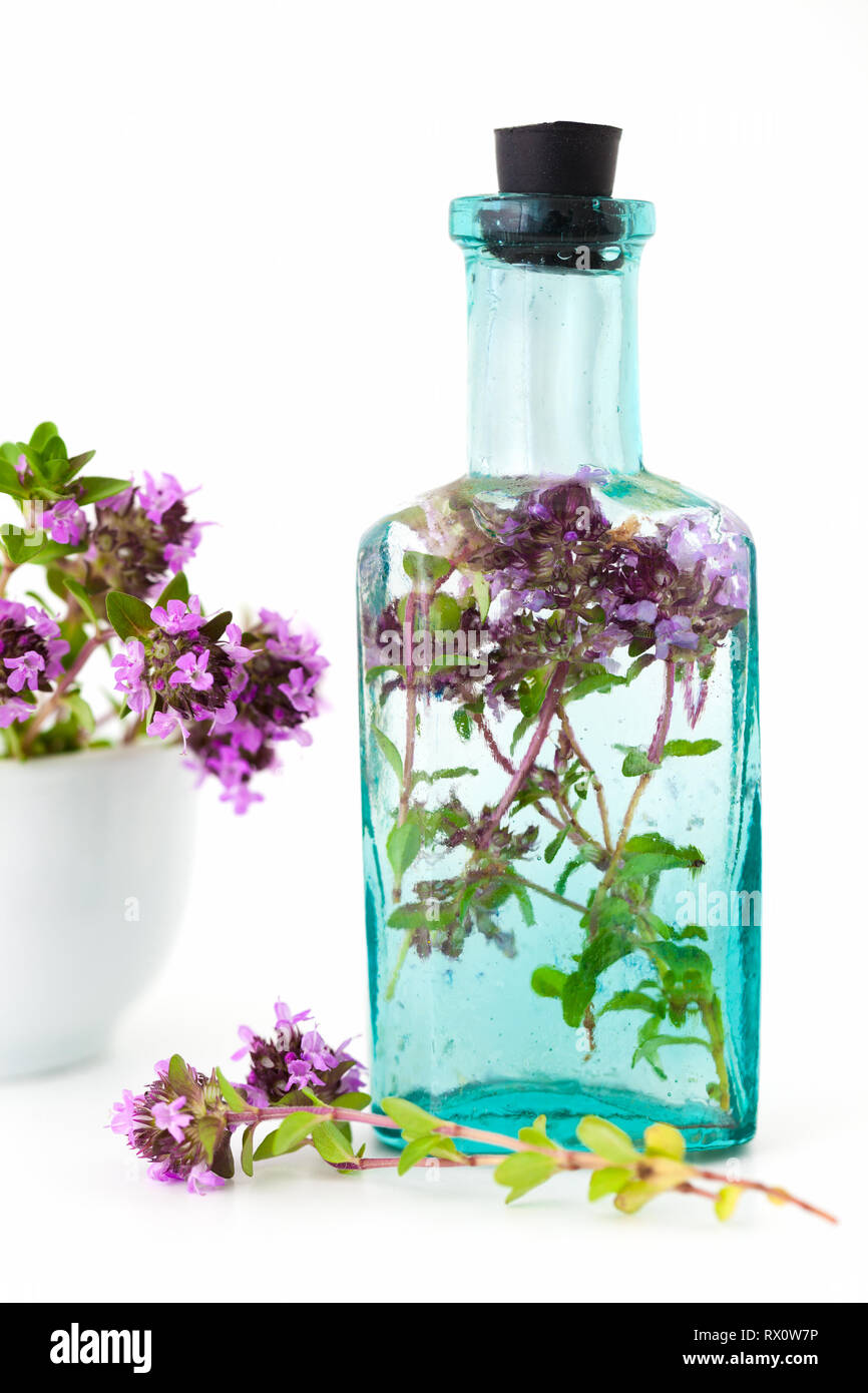 Vintage bottle of thyme infusion and mortar full of thymus serpyllum flowers on white background