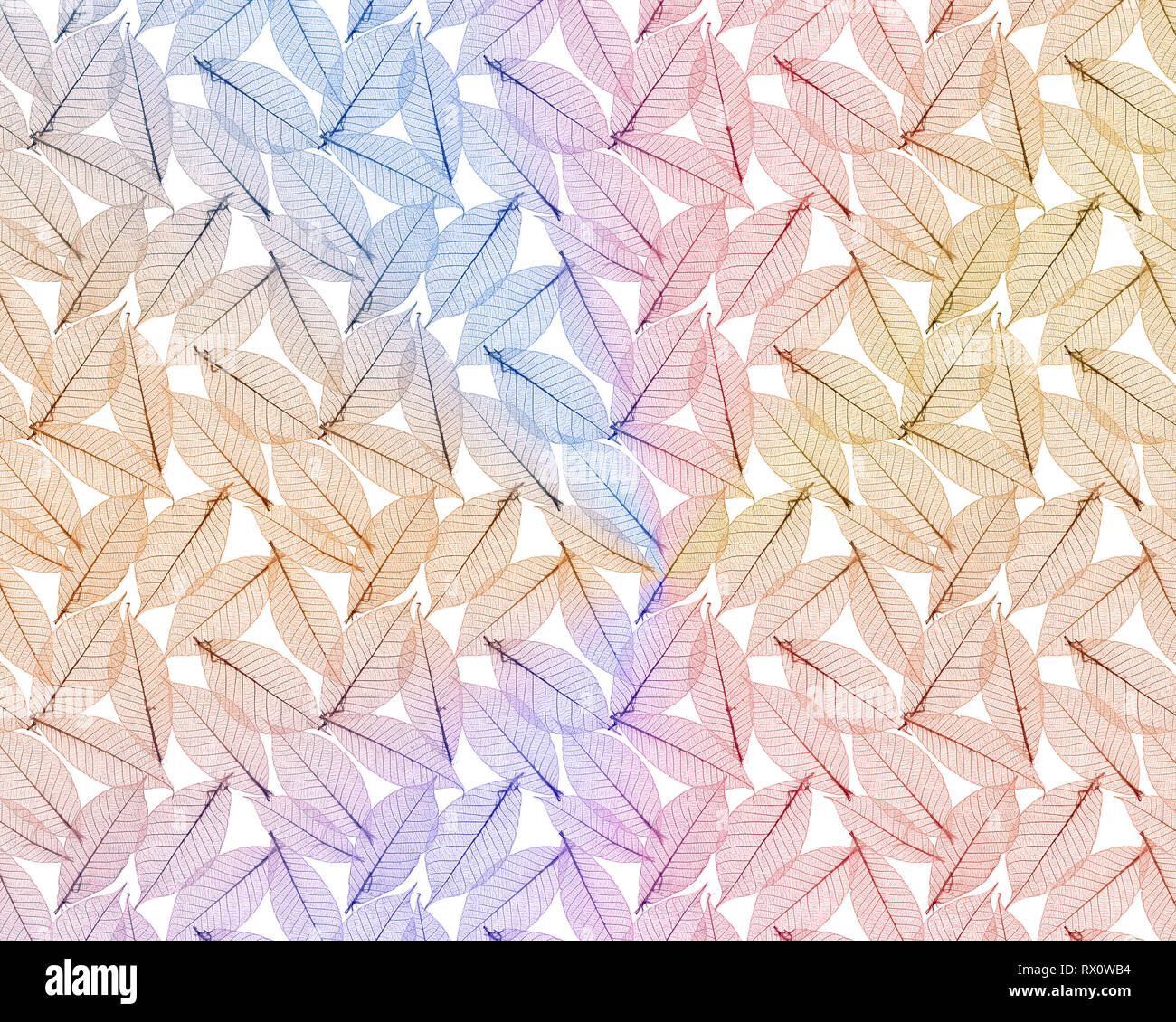 Abstract background of delicate and detailed leaves in soft pastel colors Stock Photo