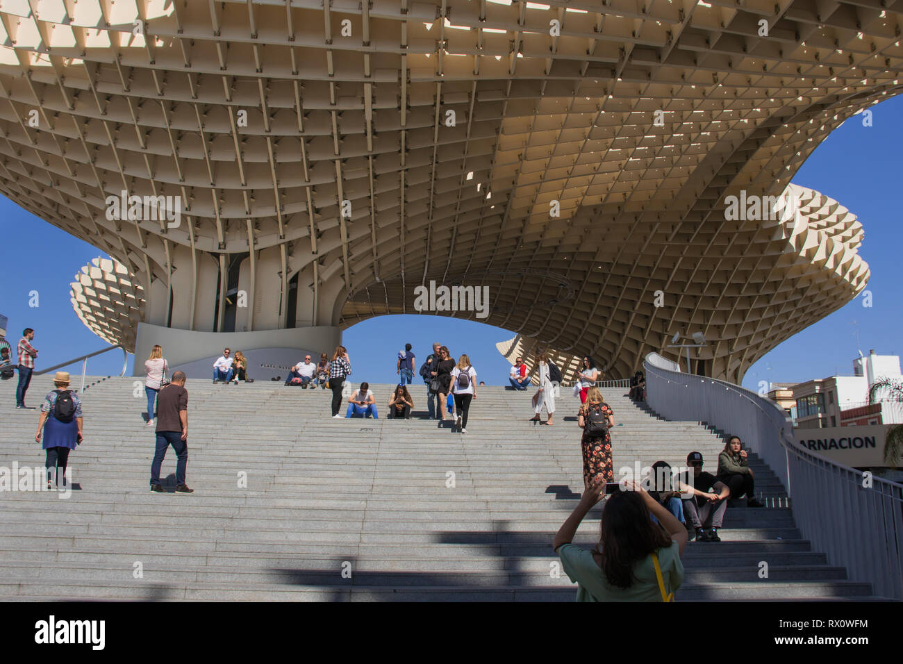 Metropol Parasol, Setas de Sevilla viewpoint, built by Sacyr with wood,  located in La Encarnación square, in the old town of Seville. Seville,  Spain Stock Photo - Alamy