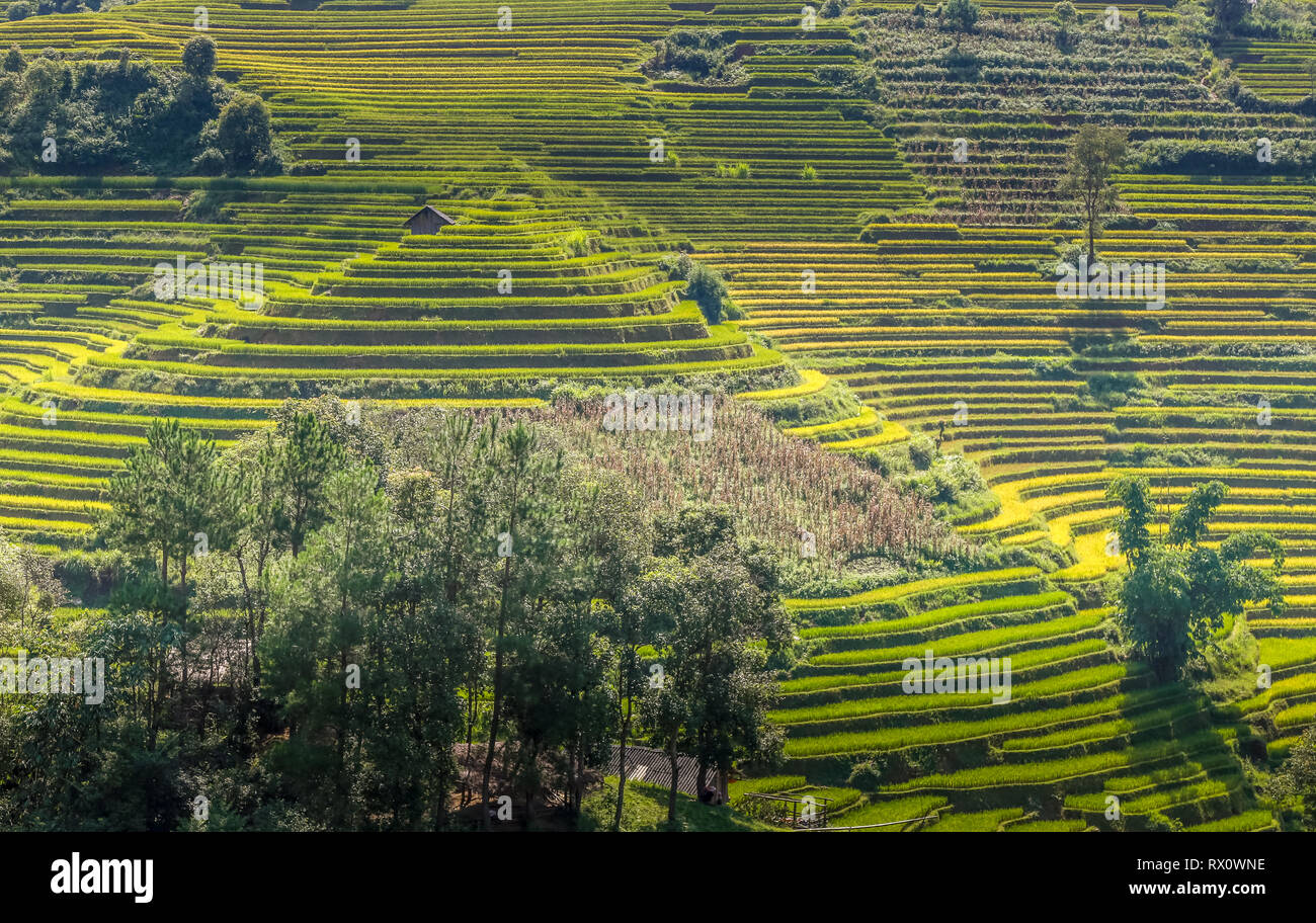 Rice terraces in Mu Cang Chai Stock Photo