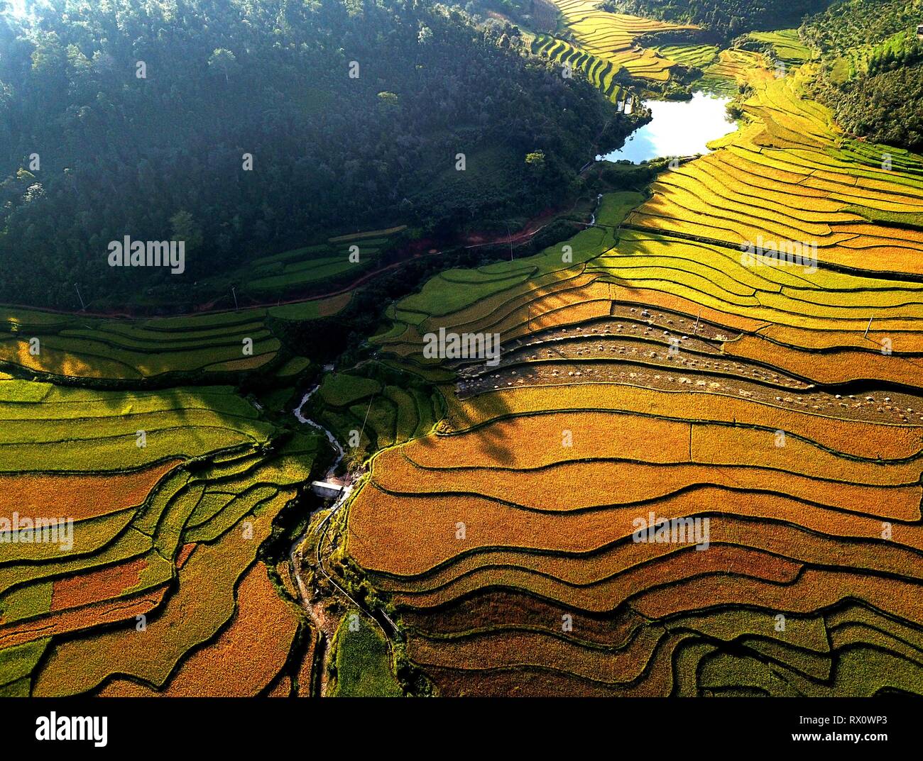 Rice terraces in Northern Vietnam Stock Photo