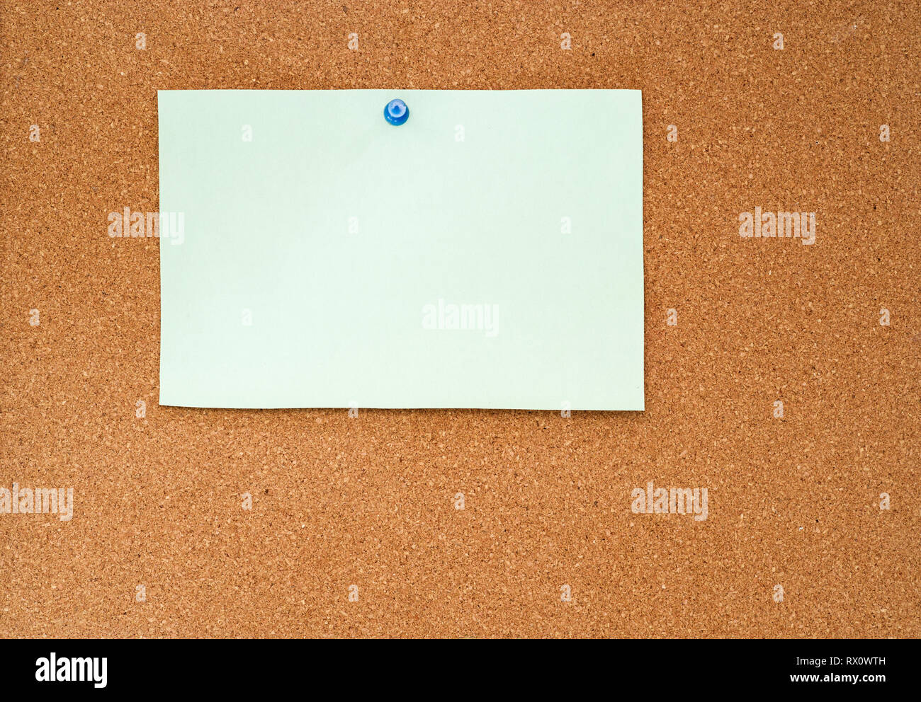 blank piece of pale paper pinned to a cork bulletin board Stock Photo