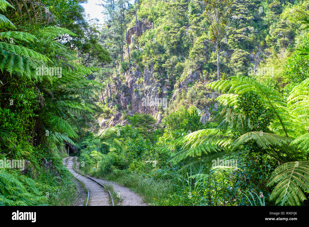 Walkway in the Karangahape Gorge, Waikato Stock Photo