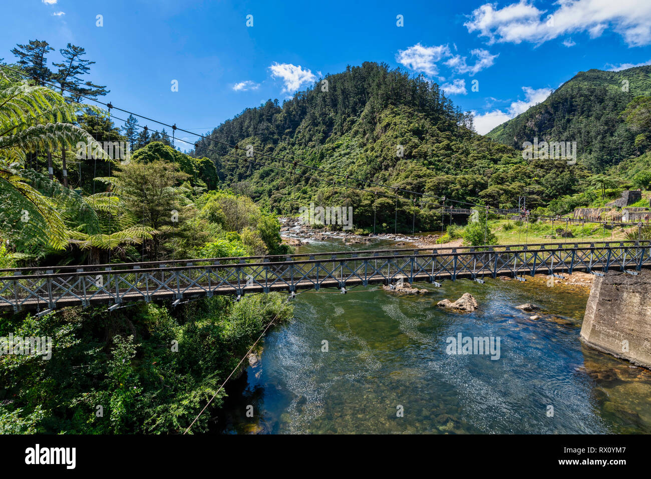 An old suspension bridge running through the Karangahake Gorge Stock Photo