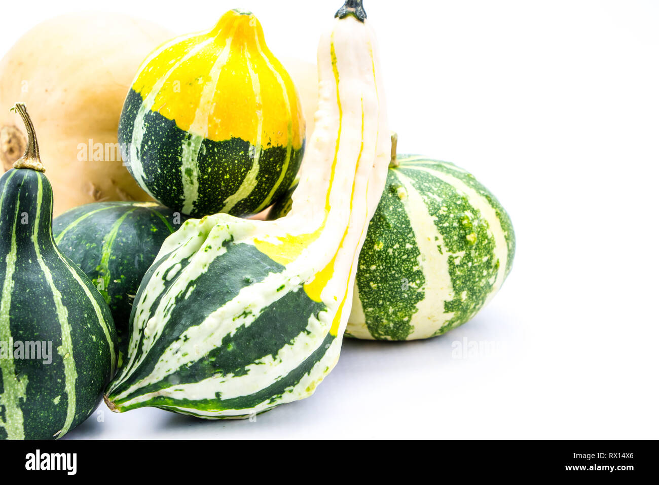 Mini colorful pumpkins  isolated on white Stock Photo