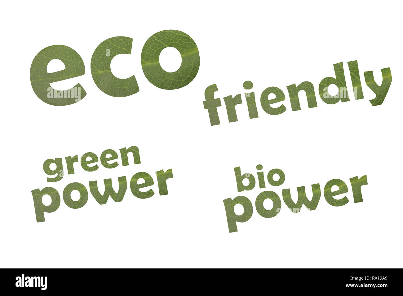 Collection of the keywords eco friendly, green power and bio power cut out of a green leaf Stock Photo