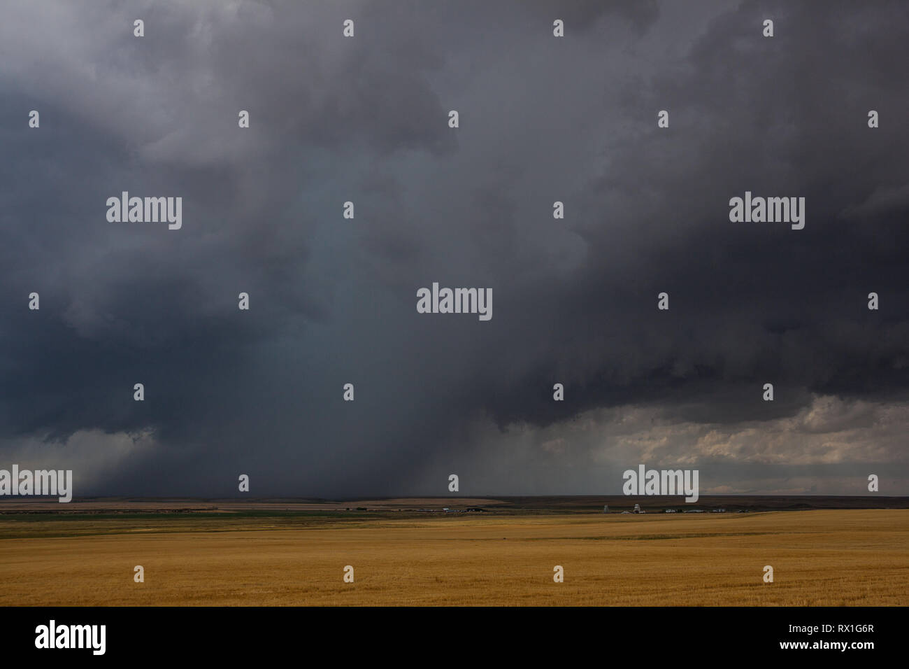 , Judith Basin County, Montana, USA Stock Photo Alamy