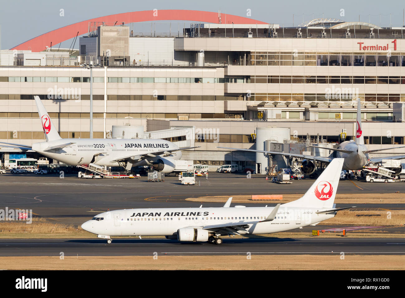 A Japan Airlines (JAL) 737846 landing in front of Terminal 1 at Haneda
