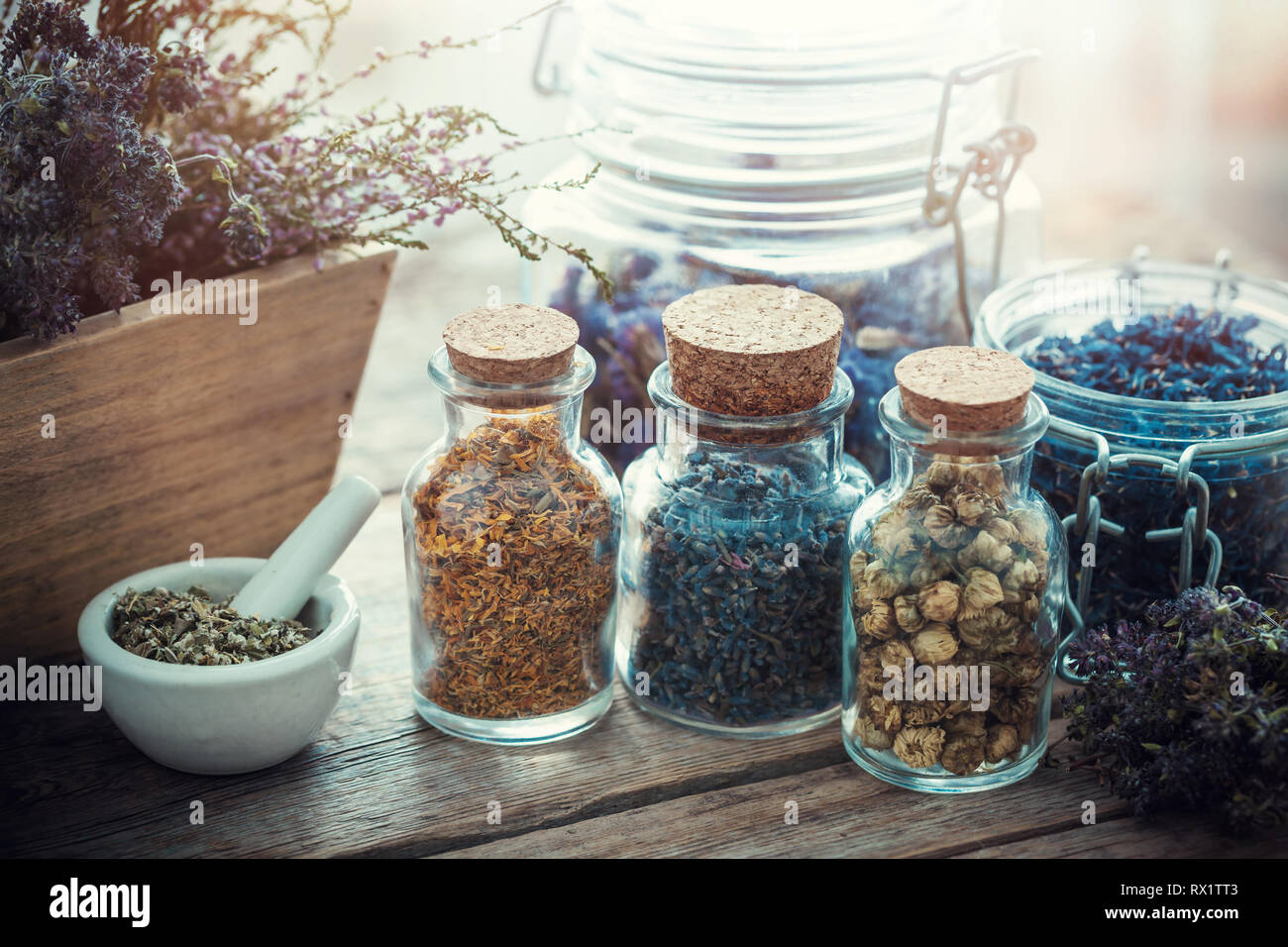 Bottles and jars of healing herbs, mortar and wooden box of dry flowers ...