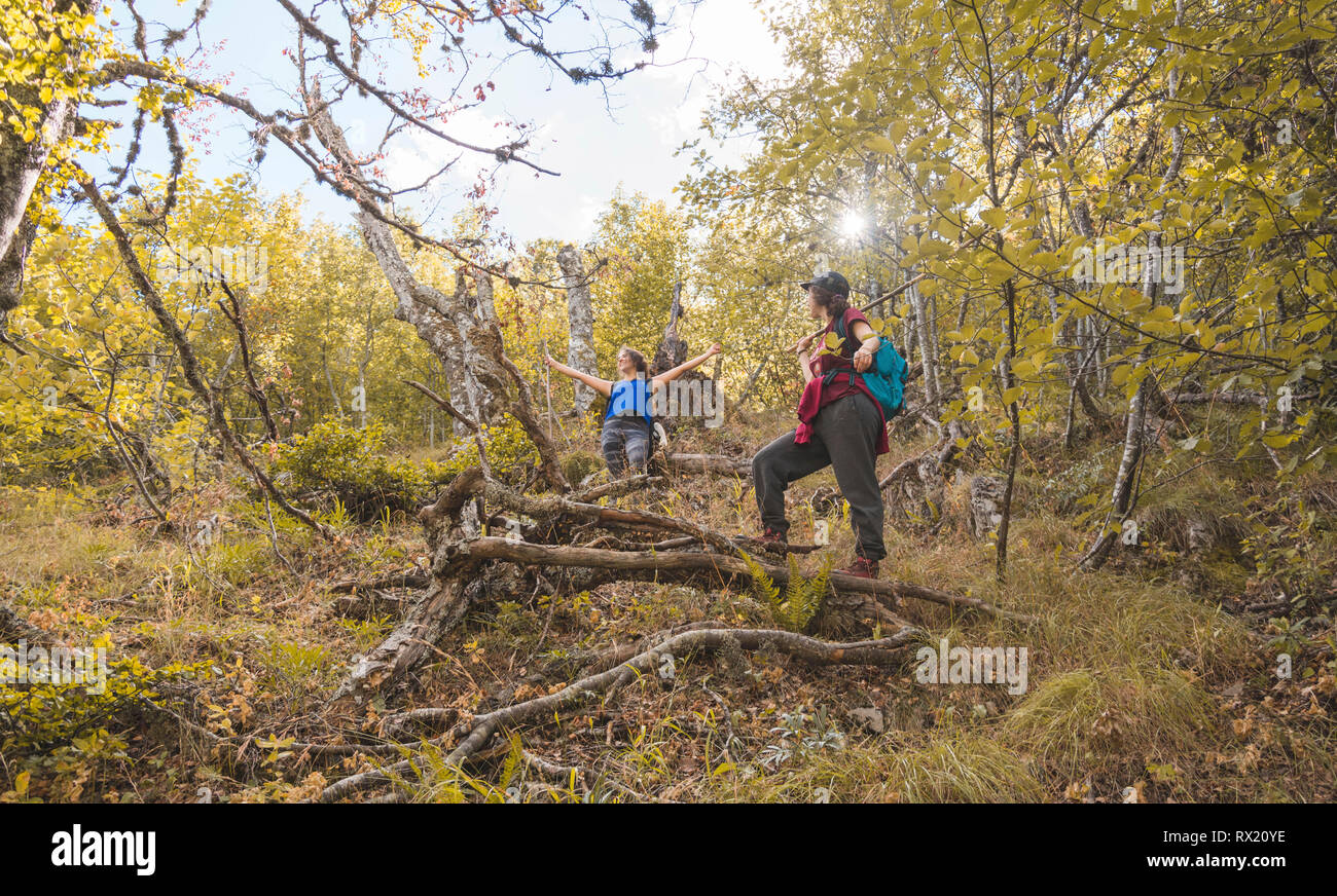 Low angle view of female hikers standing amidst trees on mountain in forest Stock Photo