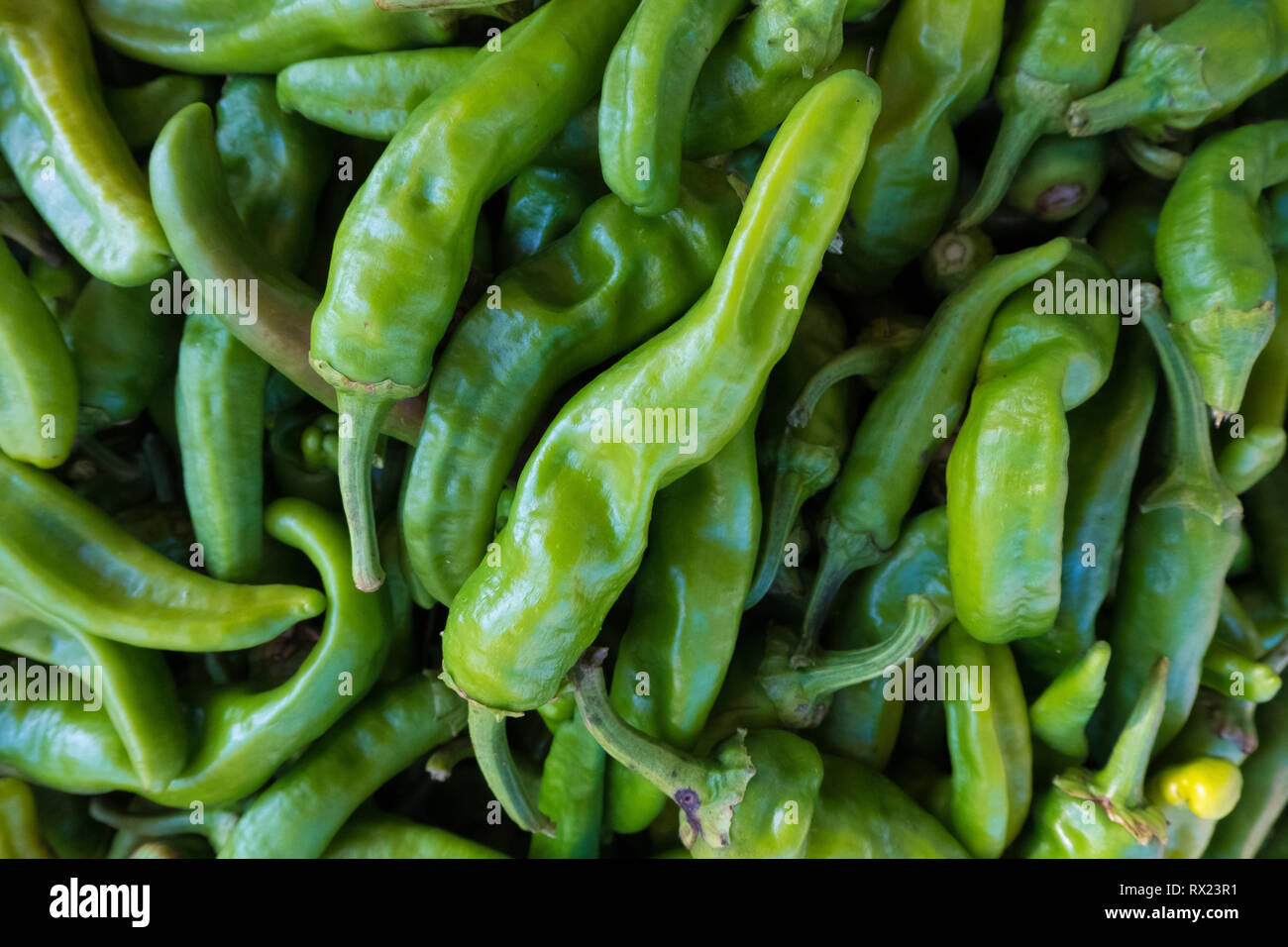 Fresh peppers for sale hi-res stock photography and images - Alamy