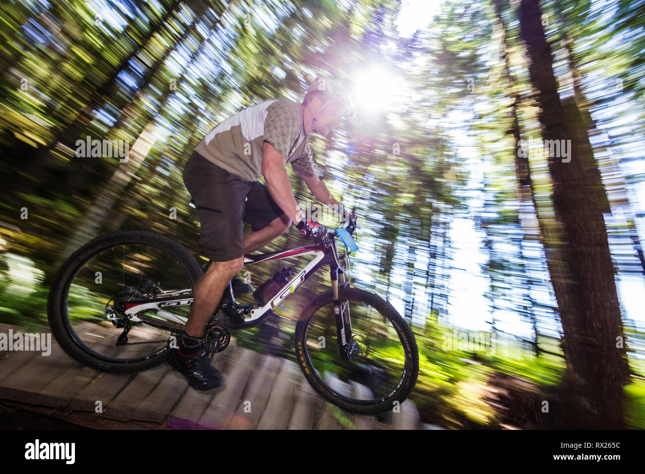 A mountain biker negotiates a bridge section on 'Kitty Litter' a fun mountain bike trail in the Cumberland forest.  Cumberland,  The Comox Valley, Vancouver Island, British Columbia, Canada.  NO MODEL RELEASE Stock Photo