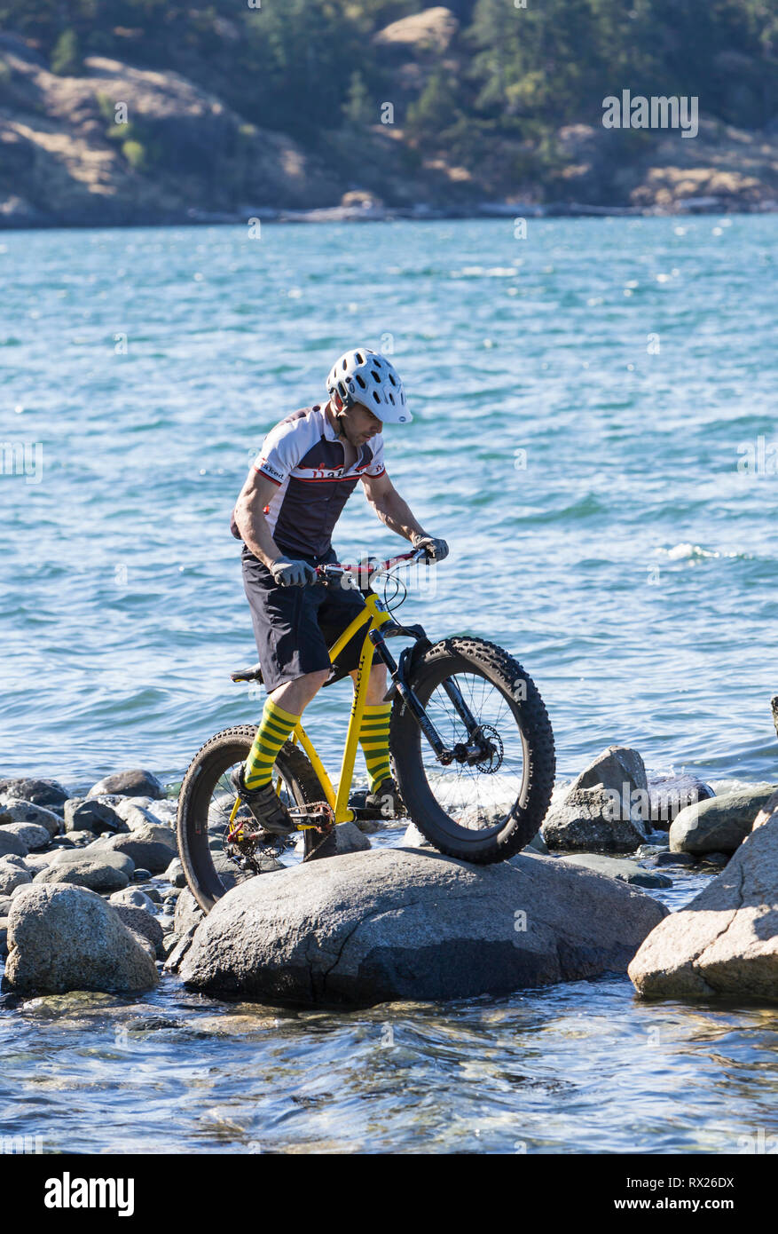 Fat bikes, a new trend in mountain biking allows for riding on more unusual terrain.   Quadra Island, British Columbia, Canada Stock Photo