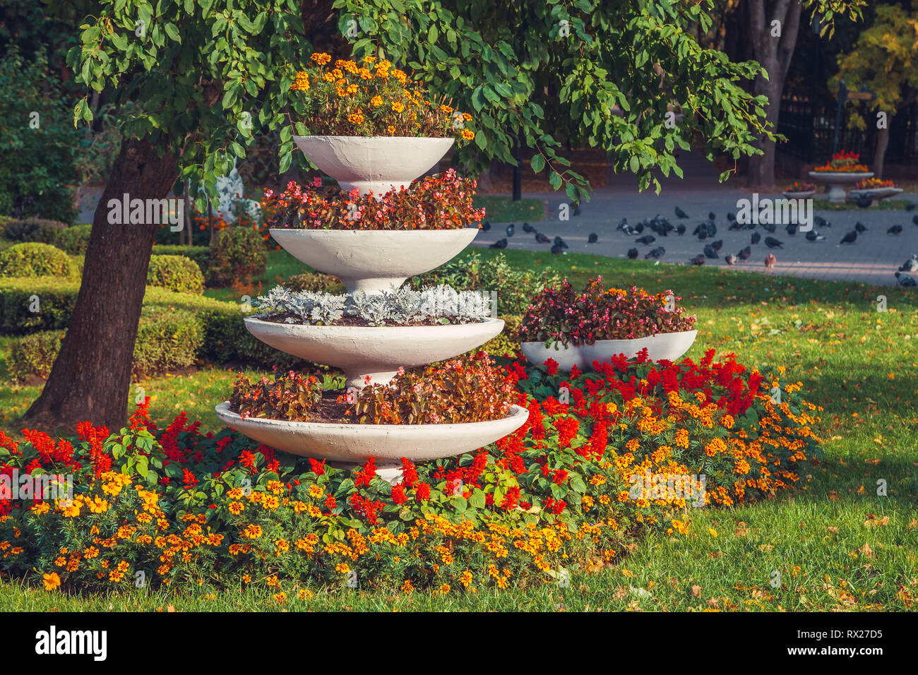 Petunia flower bed hi-res stock photography and images - Alamy