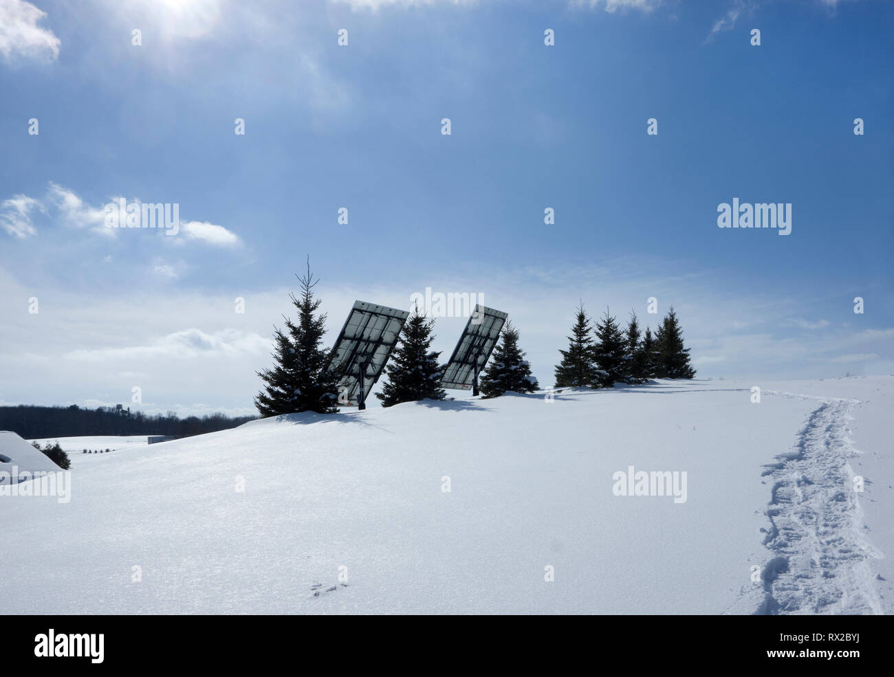 Photovoltaic solar panels on a hilltop with a row of spruce trees as a windbreak in a winter rural setting. Stock Photo