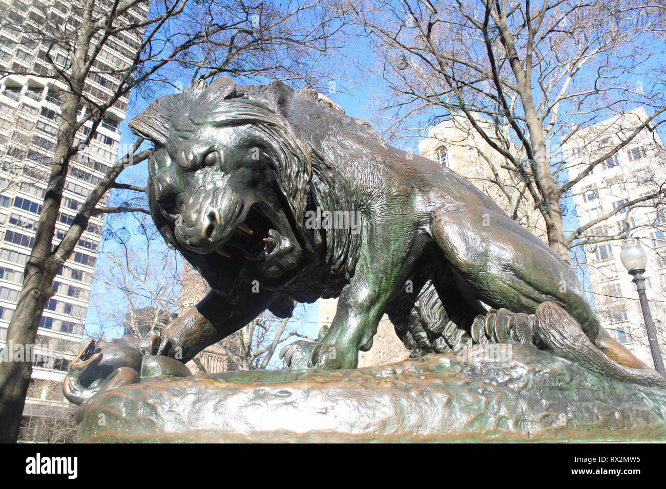 Lion Statue in Rittenhouse Square Park in Philadelphia, Pennsylvania Stock Photo