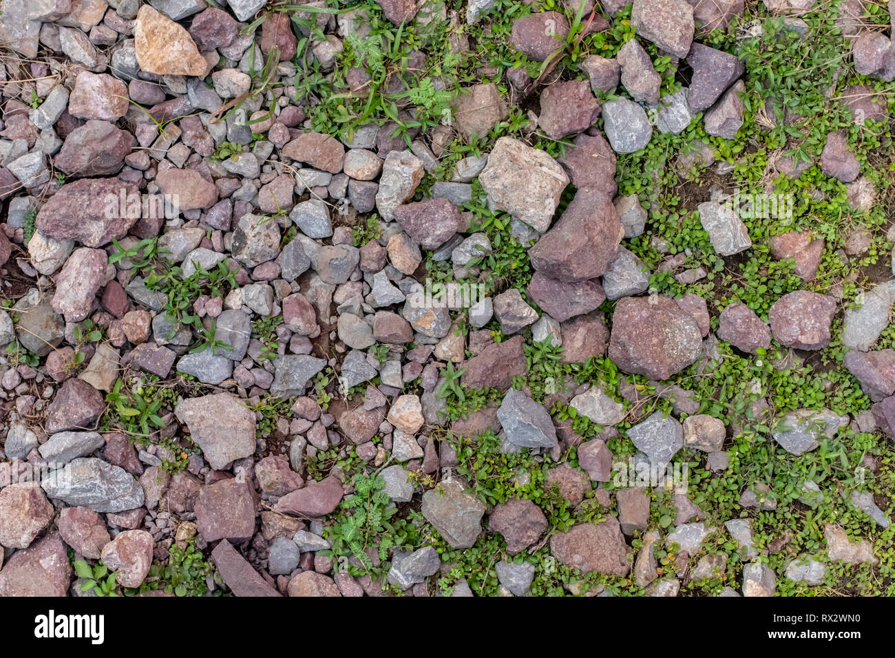 Top view the ground with rocks and small trees Stock Photo ...