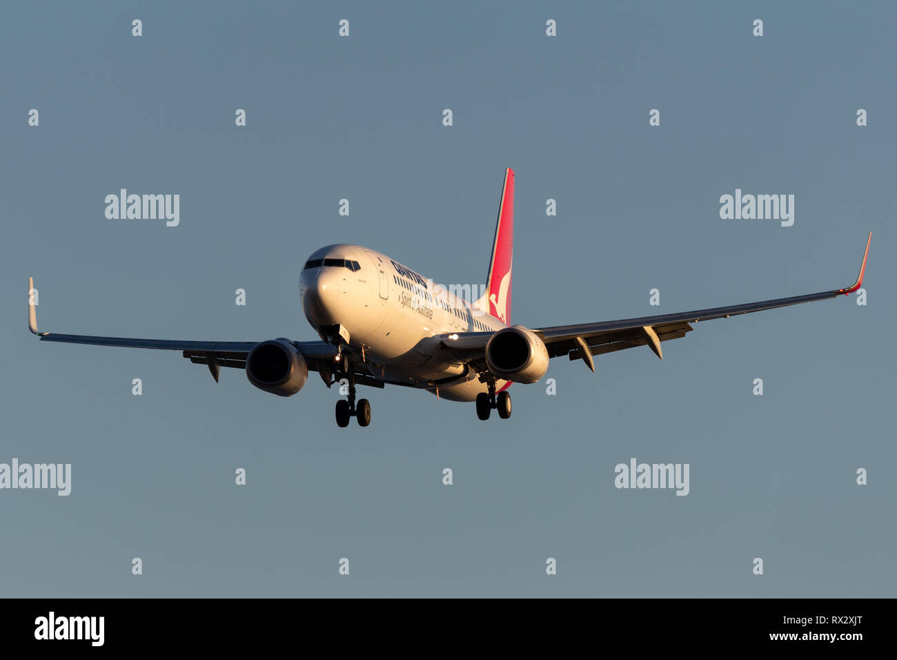 Qantas Boeing 737 aircraft on approach to land at Adelaide Airport. Stock Photo
