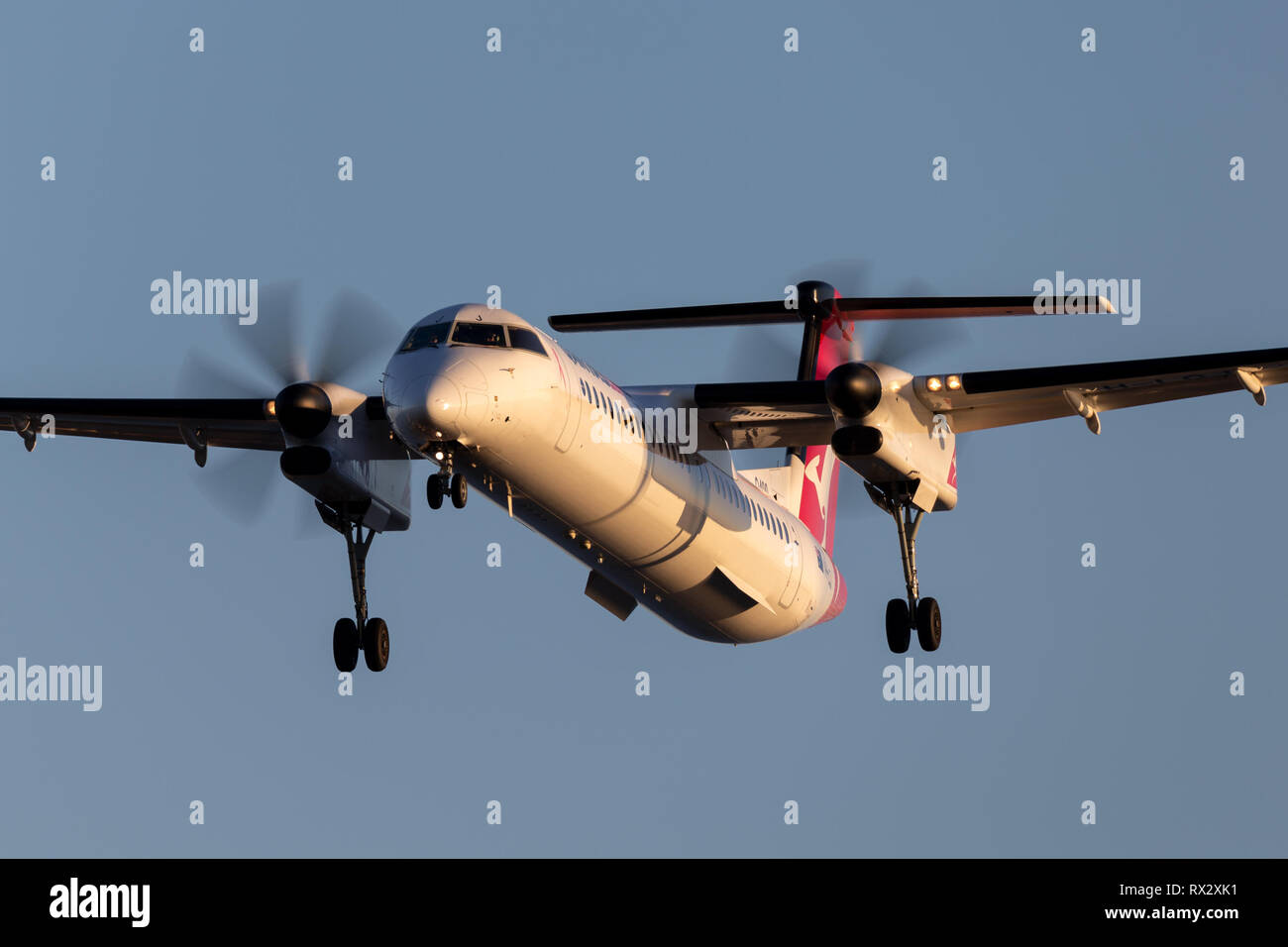 QantasLink (Sunstate airlines) Bombardier DHC-8-402 twin engine turboprop regional airliner on approach to land at Adelaide Airport. Stock Photo