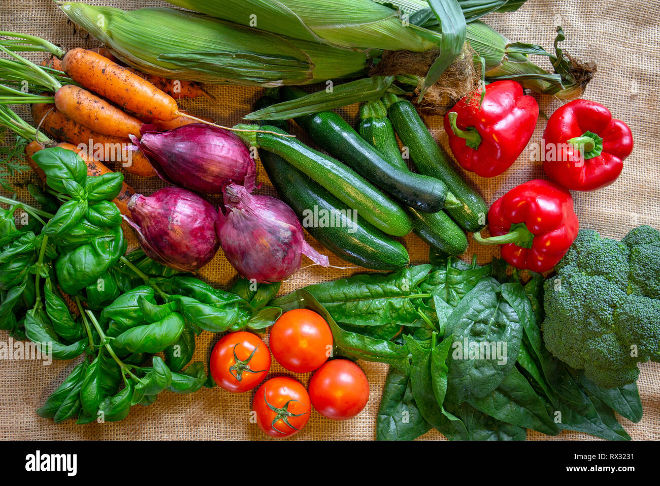 An assortment of fresh and healthy vegetables in season from the garden
