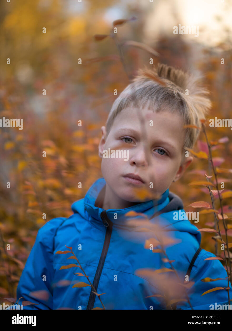 Sad boy 7 years old in the autumn park among the yellowed branches and leaves. Stock Photo