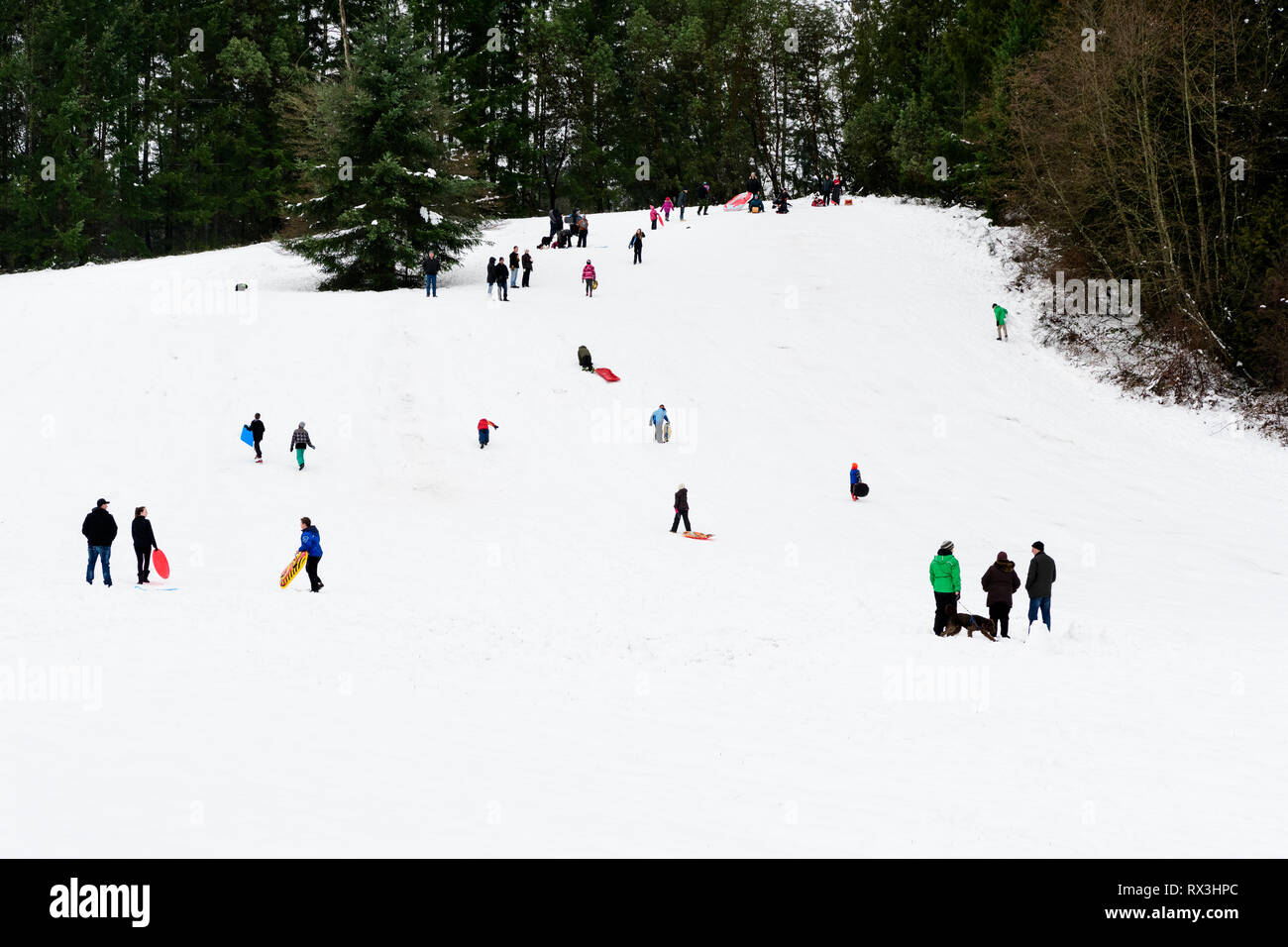 People tobogganing in the snow on a hill in Cobble Hill, British Columbia. Stock Photo
