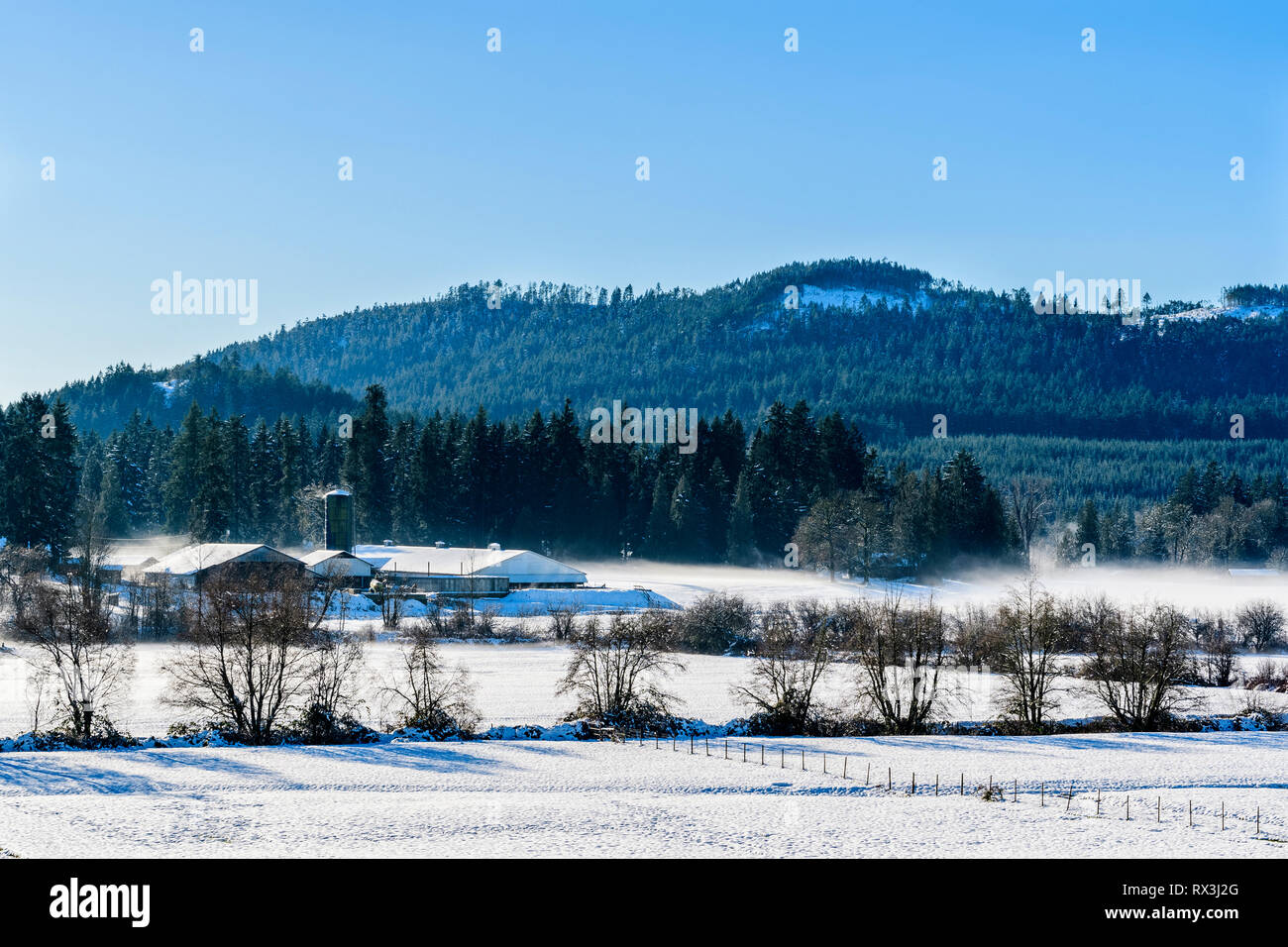 A dairy farm with snow covered fields near Cobble Hill, British Columbia. Stock Photo