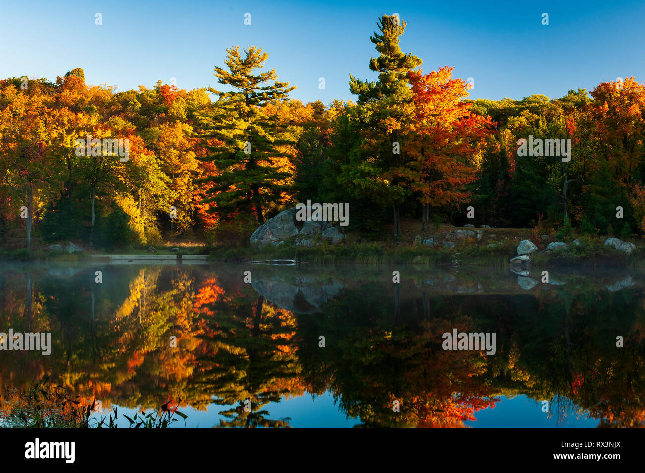 Brilliant colours of an autumn morning are reflected in a glassy Lac ...