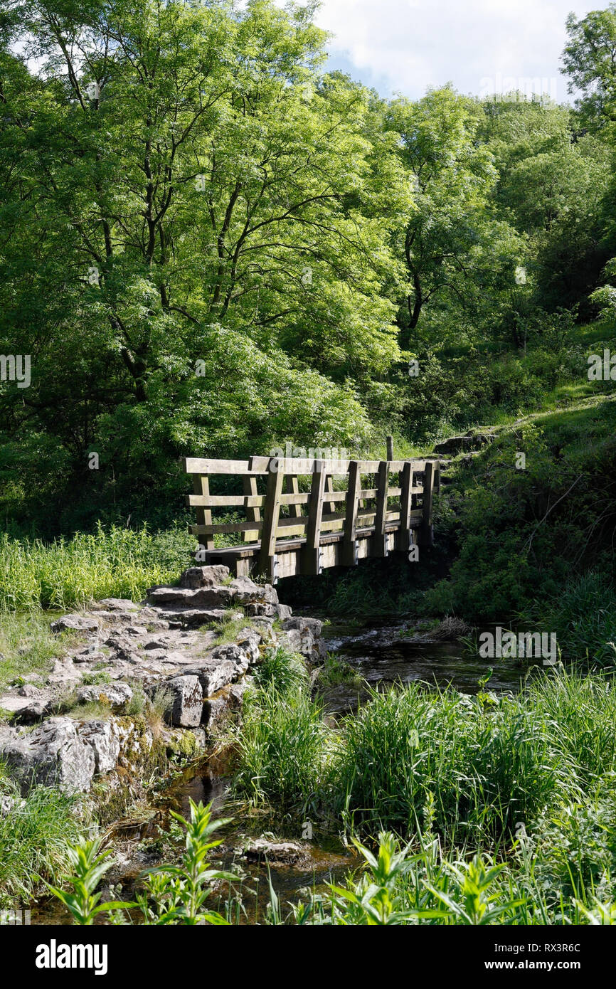 Wooden footbridge in Lathkill Dale in Derbyshire England UK English countryside Peak District National Park Stock Photo