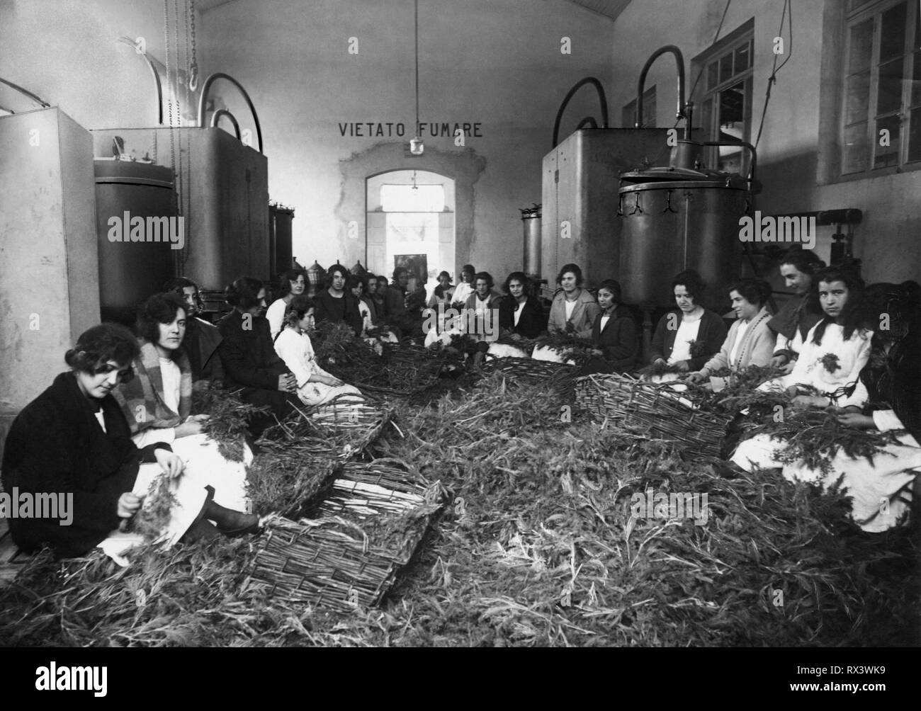industry of vallecrosia, industry of perfumes, 1910-1920 Stock Photo