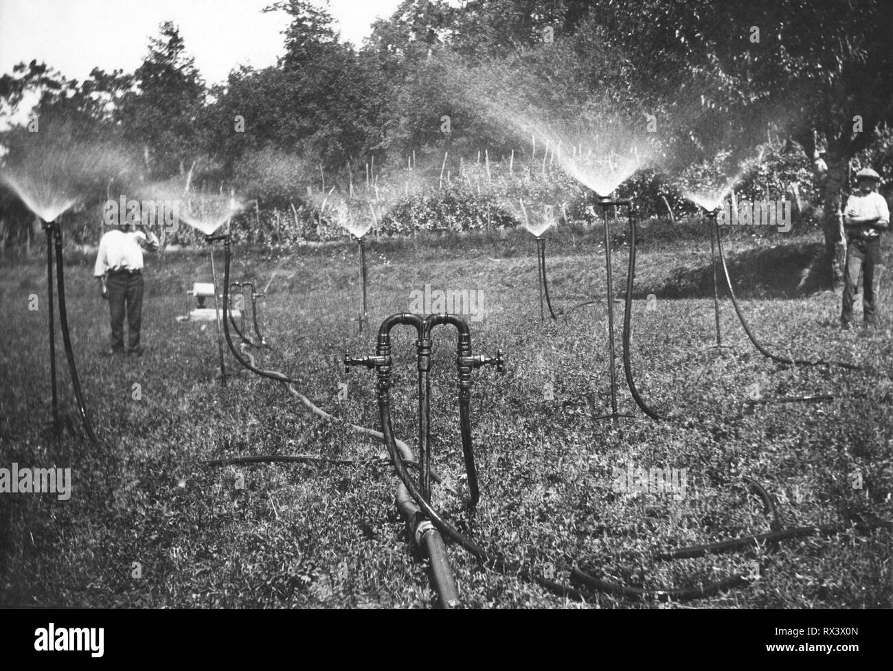 field, irrigation, liguria, italy 1930 Stock Photo