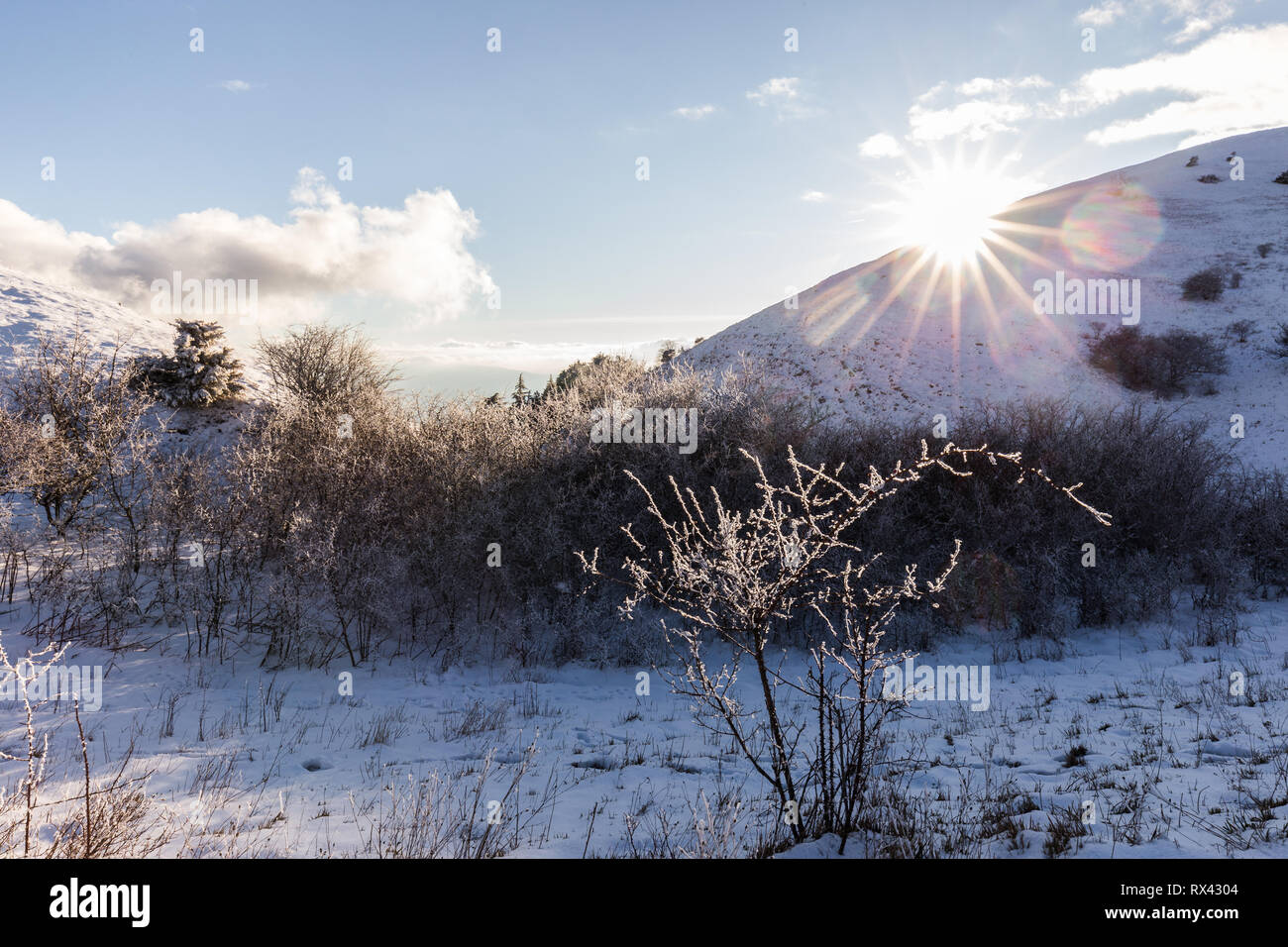 Subasio mountain (Umbria, Italy) in winter, covered by snow, with plants and sun Stock Photo