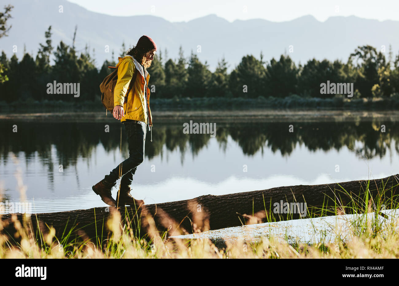 Tourist man walking on a fallen tree trunk beside a lake. Man wearing jacket and backpack walking beside a lake. Stock Photo