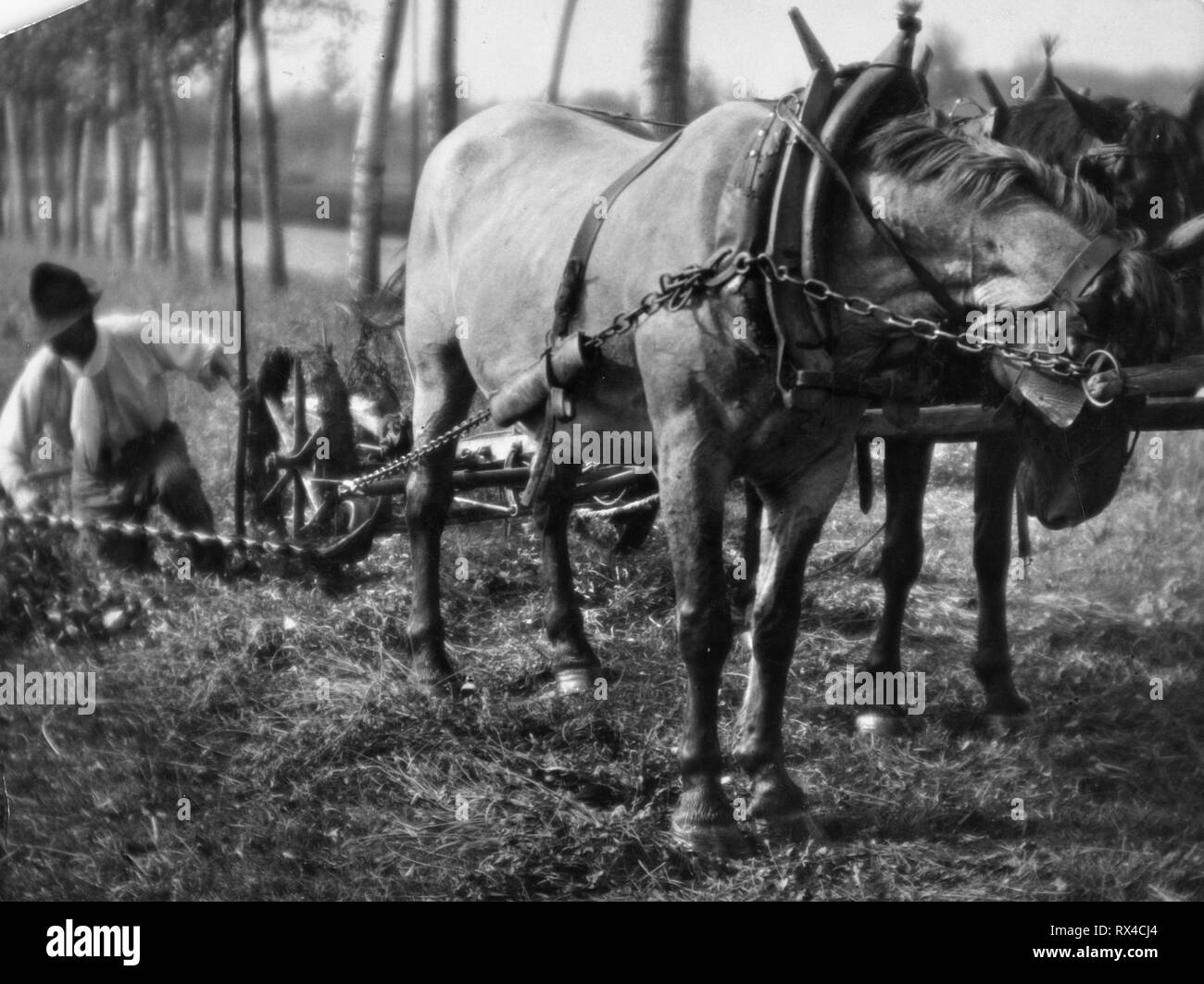 Farmer ploughing field Black and White Stock Photos & Images Alamy