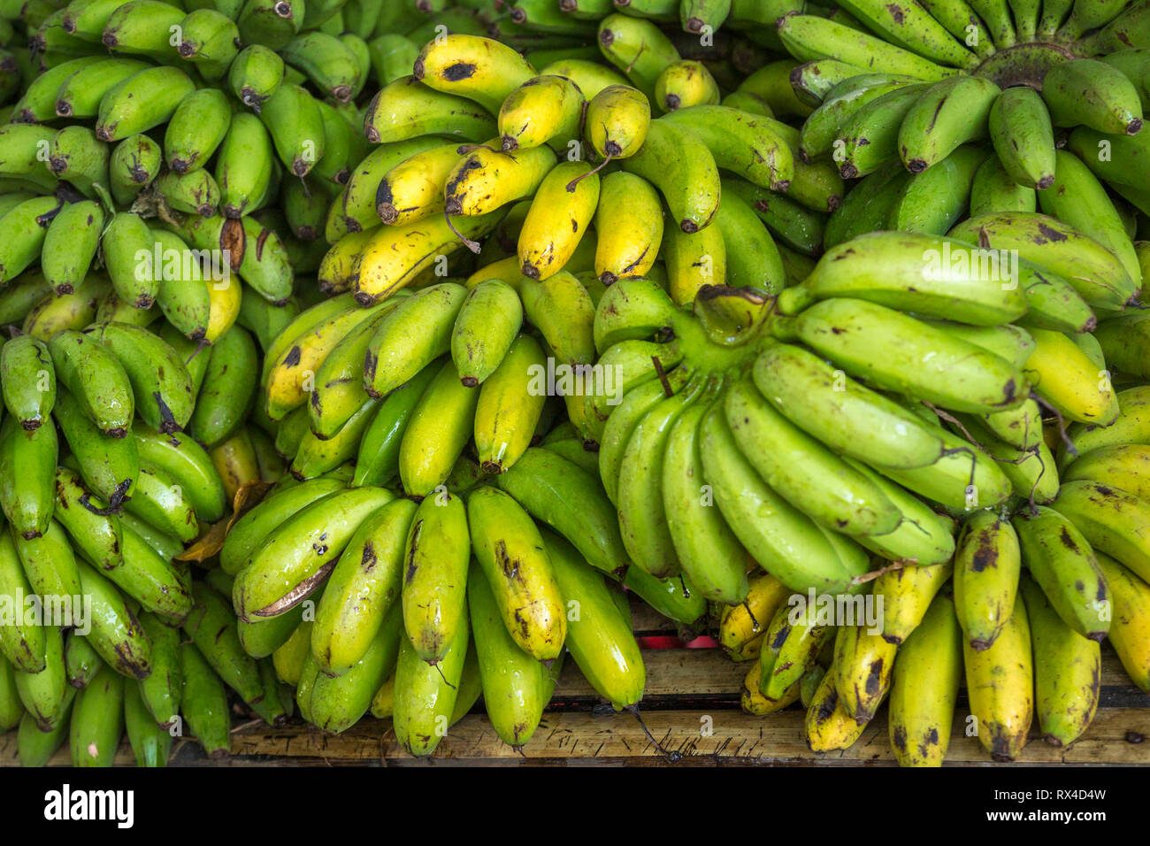 Bananas from the Philippines Stock Photo Alamy