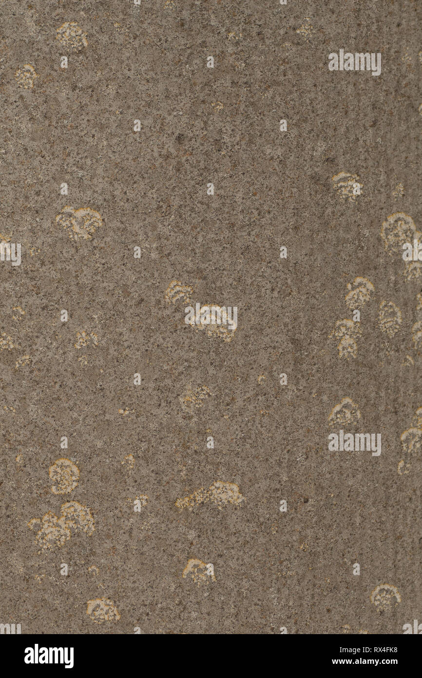 Exterior wall texture with stains Stock Photo - Alamy