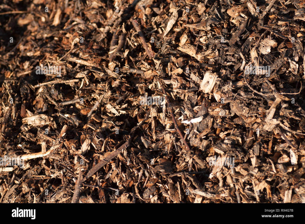 Natural bark mulch background texture Stock Photo