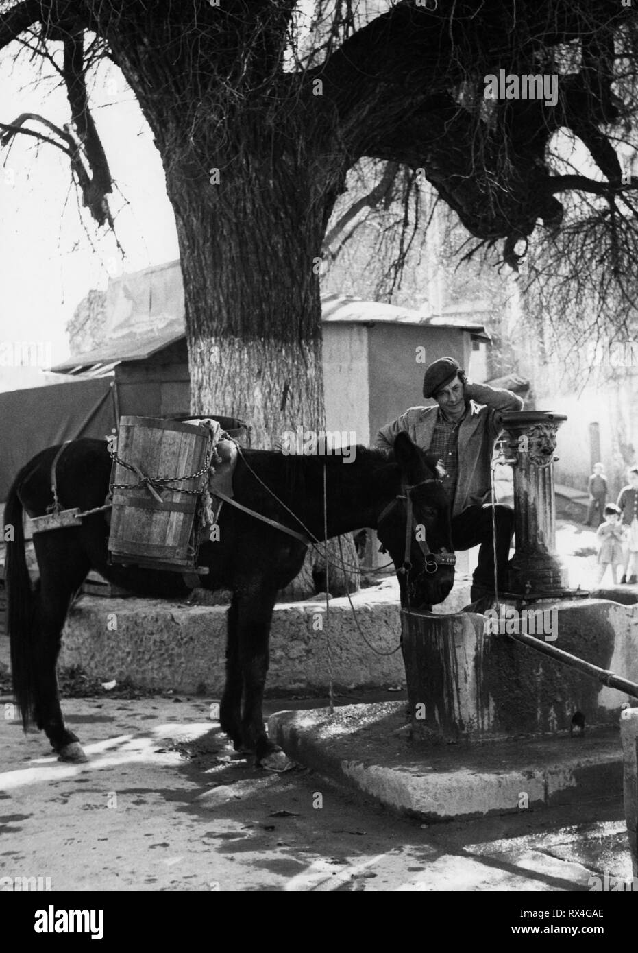 man with donkey at the fountain, oriolo, calabria, italy, 1961 Stock Photo