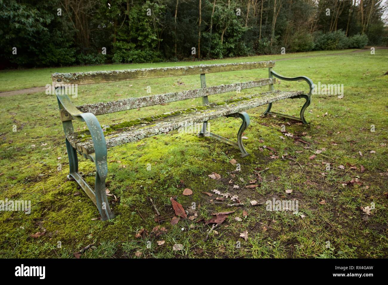 Park bench covered in moss and lichen Stock Photo