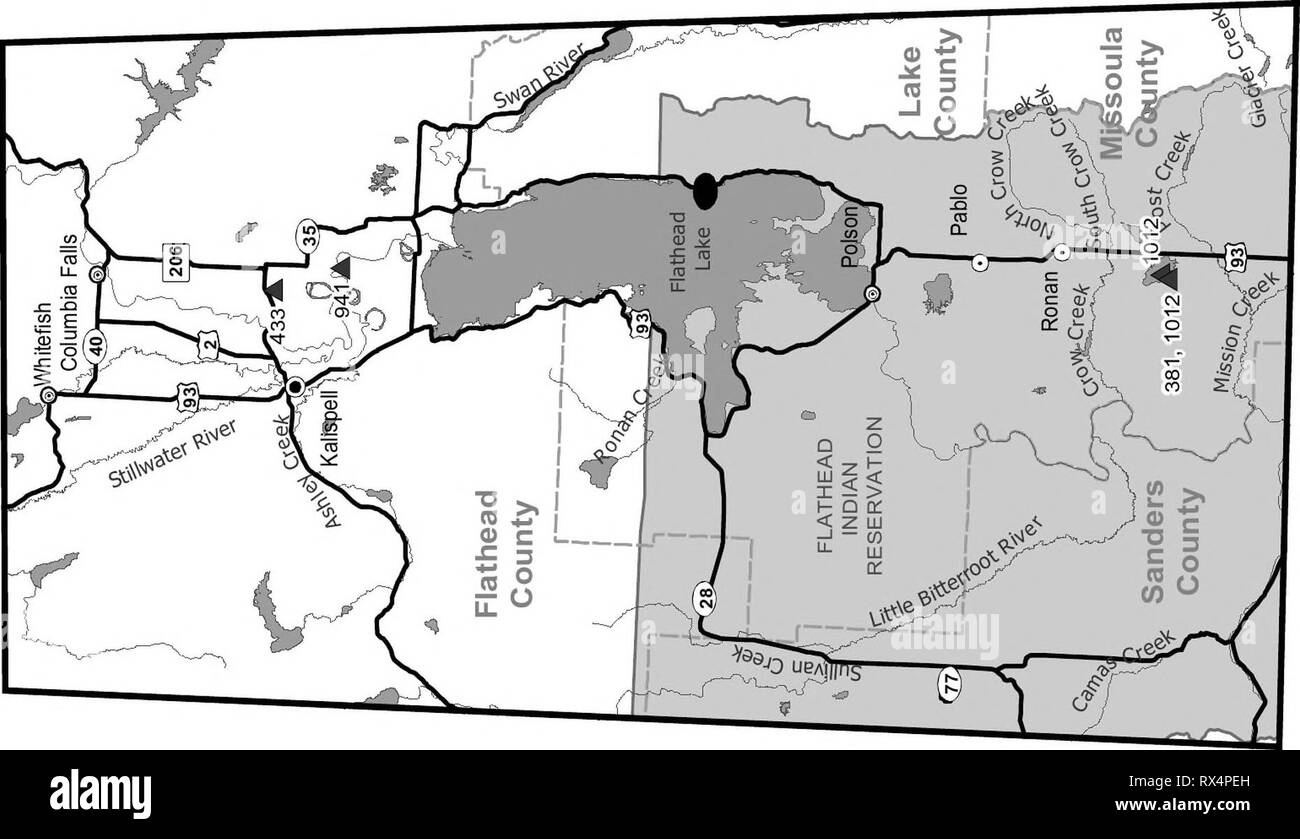 Access guide upland game bird Stock Photo Alamy