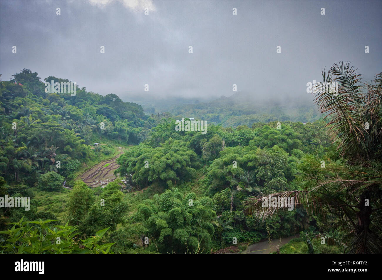 A tiny village called Air Panas Liasembe on a misty clody day in the mountains on Flores Island in Indonesia Stock Photo
