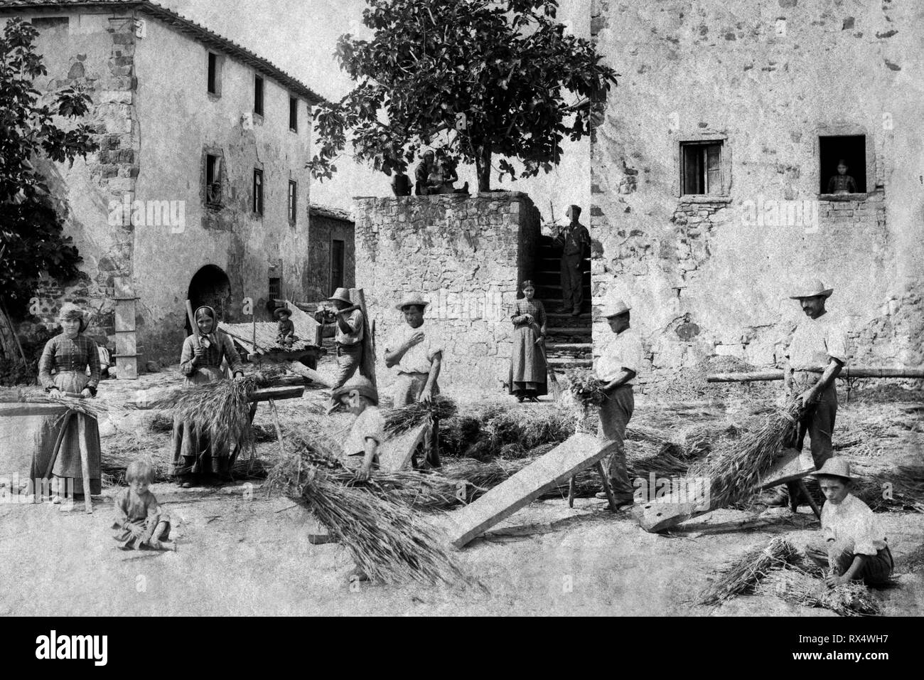 Wheat farmers 1900 hi-res stock photography and images - Alamy