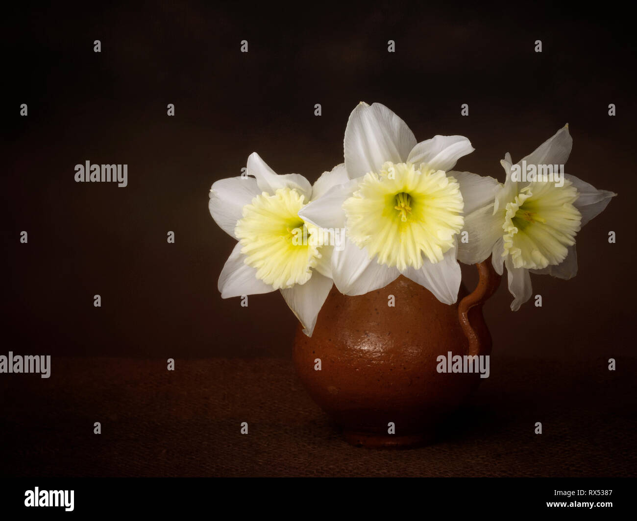 Vintage style still life of pale and beautiful daffodil, narcissus flowers and jug. Chiariscuro light painting. Stock Photo