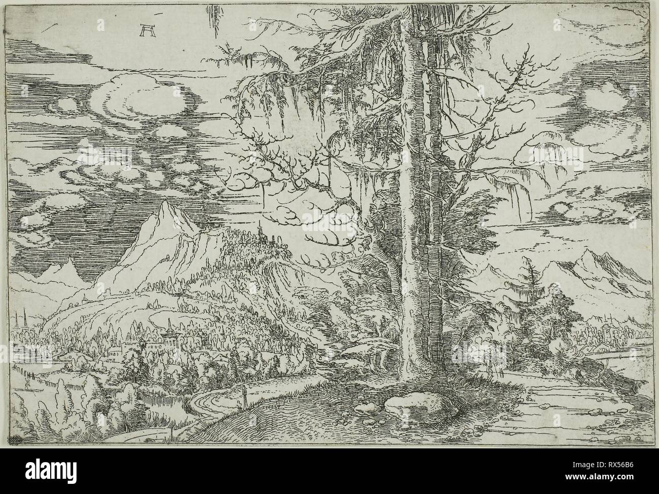 Landscape with A Double Spruce. Albrecht Altdorfer; German, c.1480-1538. Date: 1515-1520. Dimensions: 110 x 160 mm (image); 111 x 161 mm (sheet). Etching in black on ivory laid paper. Origin: Germany. Museum: The Chicago Art Institute. Stock Photo