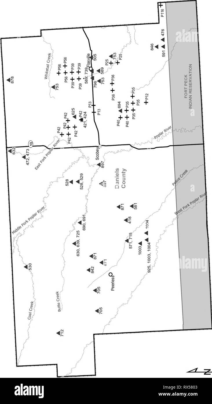 Access guide upland game bird Stock Photo Alamy