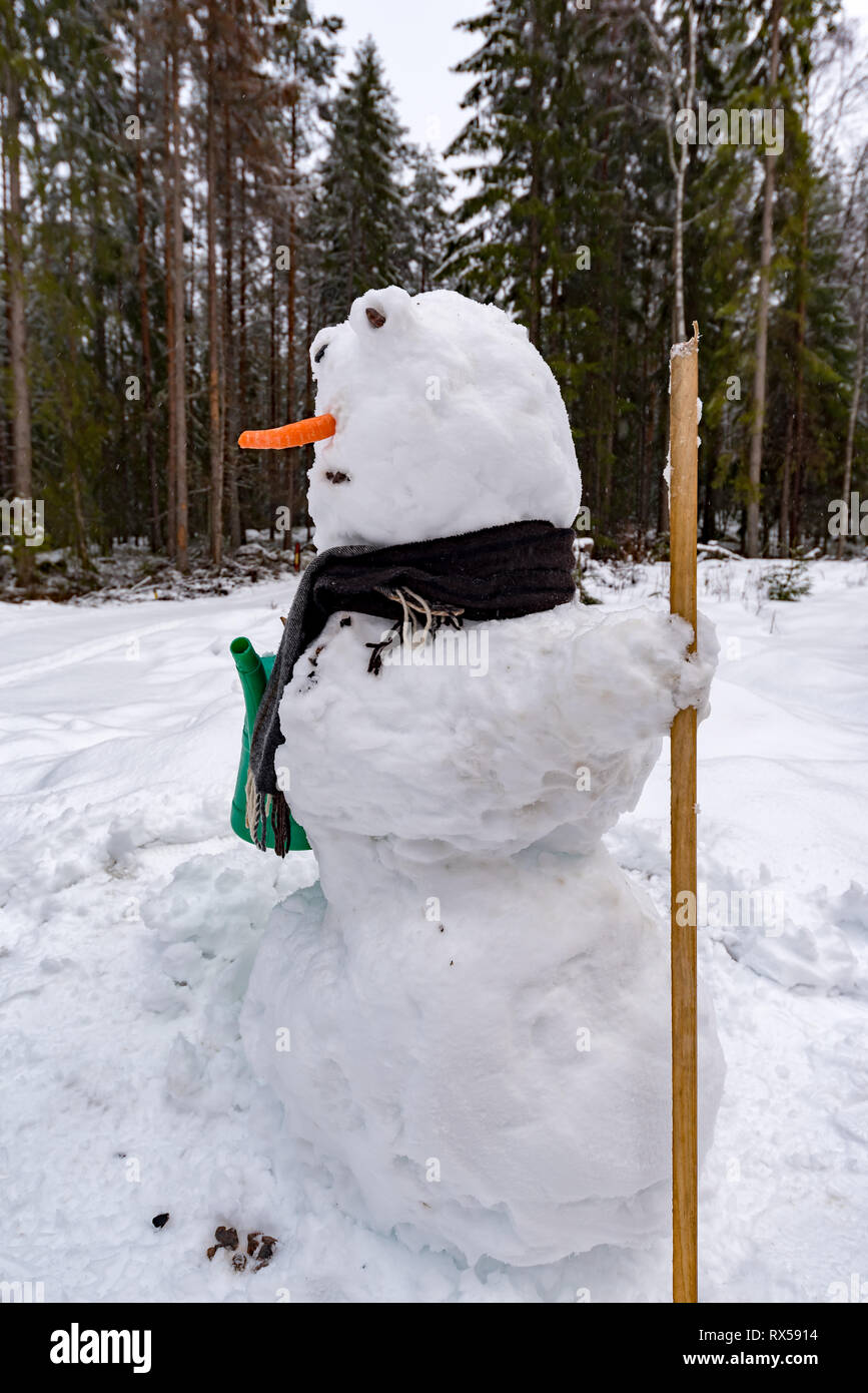 snowman with carrot nose and scarf in sweden Stock Photo - Alamy